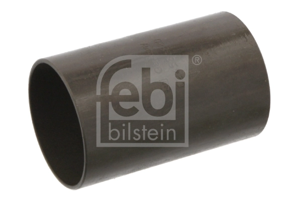 Bushing, leaf spring